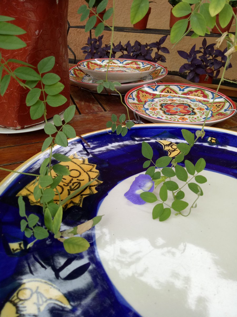 Dari halaman belakang rumahku di Pelangi Bintaro: Marissa Haque Ikang Fawzi