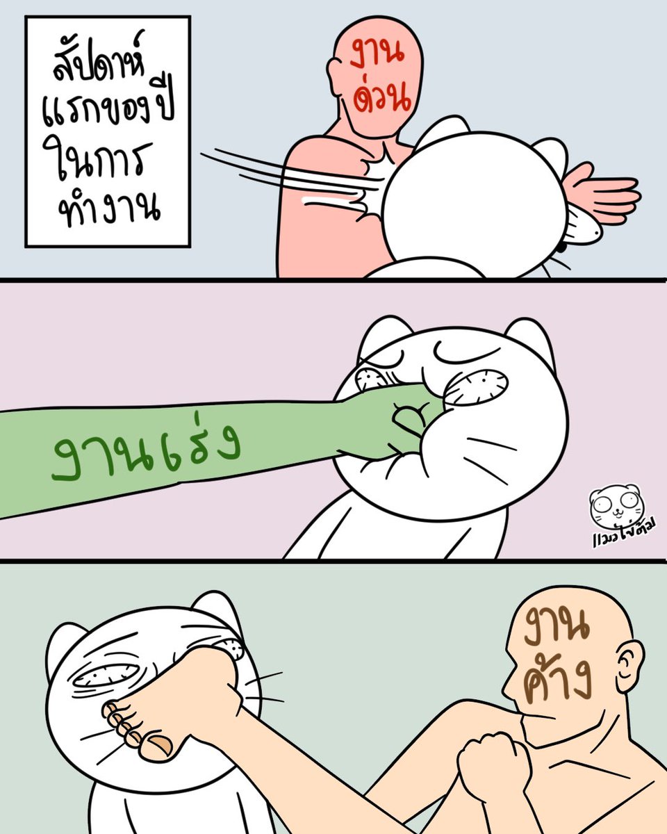 แมวไข่ต้ม tweet media