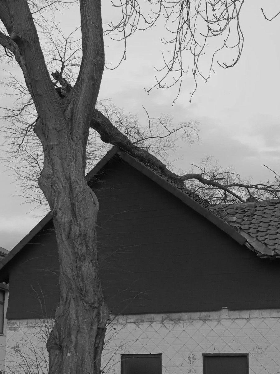 Technische Hilfe Baum auf Haus 

Beitragslink: is.gd/k6xJR6

#Drehleiter #Sturmschaden #Techni #Aktuelles #Einsätze