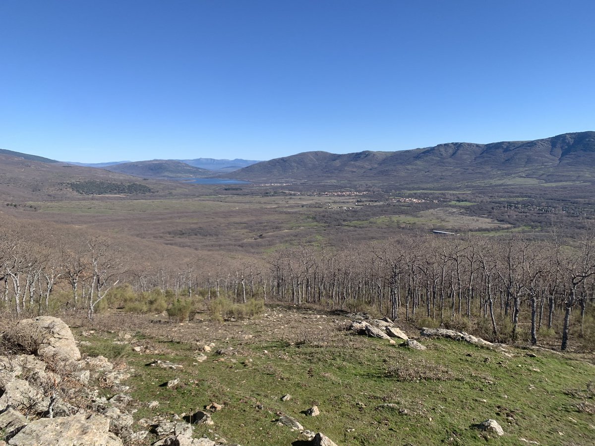 Valle del Lozoya desde unos 1450 m. Hubiese subido algo más, pero los #AgentesForestalesCM me han instado a no seguir porque había una montería. En un Parque Nacional. En el siglo XXI. Precioso día en cualquier caso.