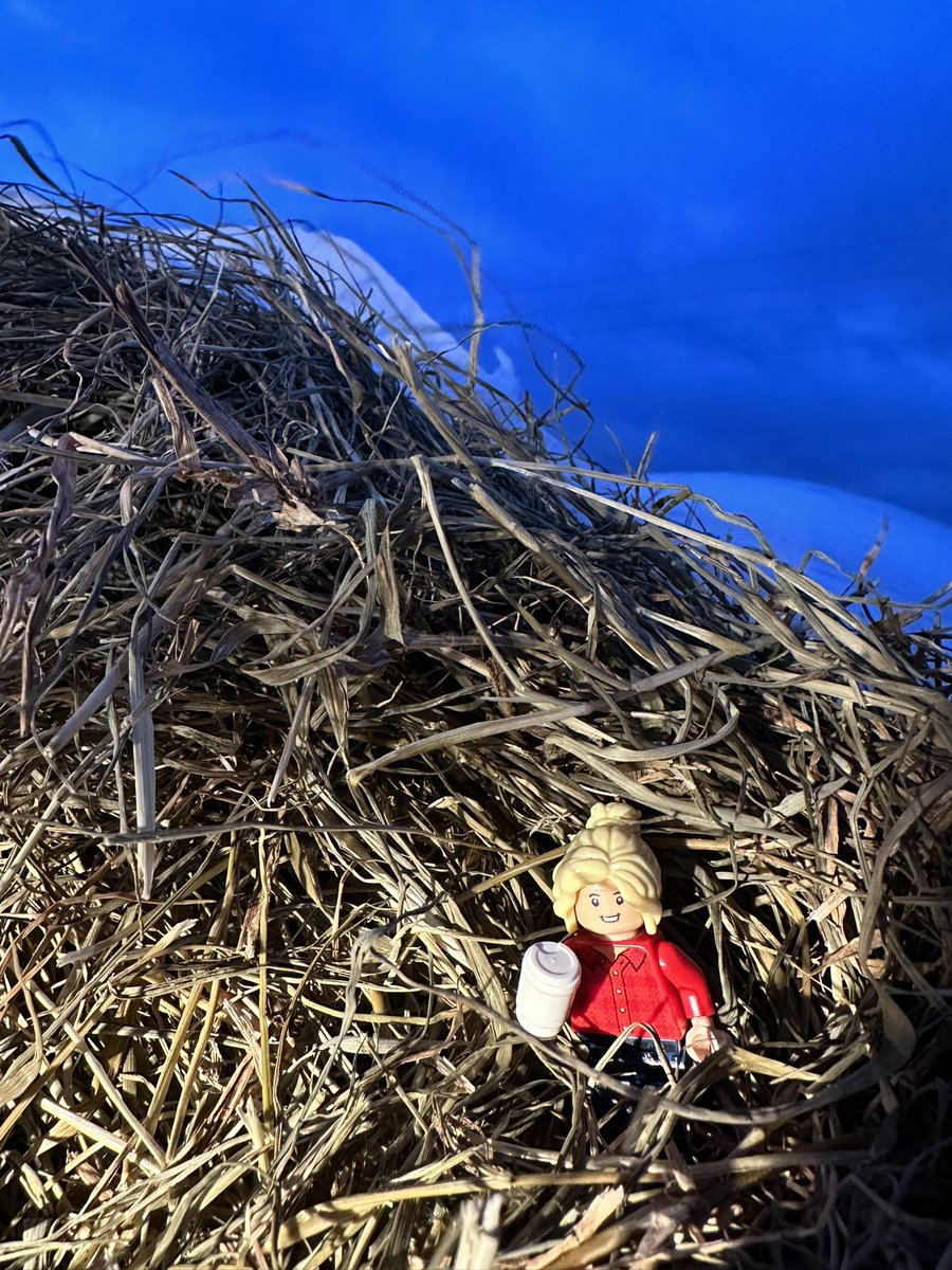 LegoForages's tweet photo. Checking on our #bermudagrass #baleage before the #researchmoos eat it later today at the #AlapahaBeefUnit. We have been waiting months to break into this line of #forage and see our #research results!
#Success #HungryHungryMoos #LookWhatIMade https://t.co/MkwDUY2saB