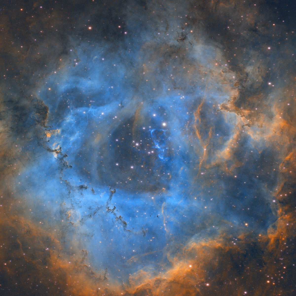 Going deep into Rosette.

Here's 9 hours of data I took on the Rosette Nebula taken with my Apertura 72 EDR scope. 

#astronomy #astrophotography #telescope #space #stars #backyardastronomy