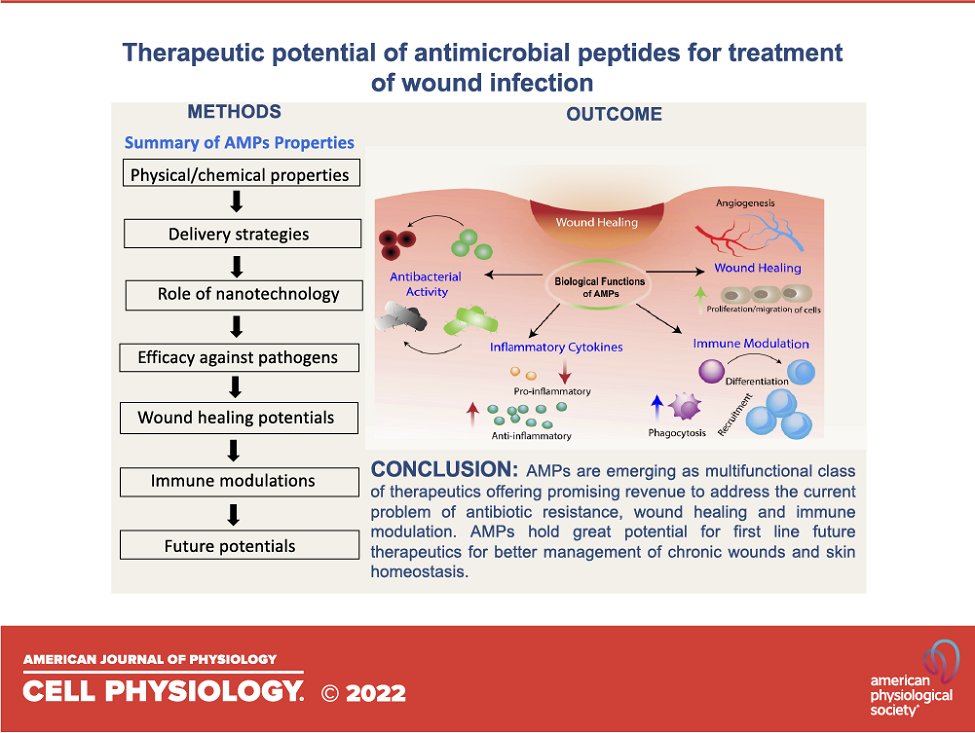 AJP-Cell Physiology (@ajpcellphys) on Twitter photo A new #review from <a href="/UniversitySA/">UniSA</a> and <a href="/CanalUGR/">Universidad Granada</a> authors provides an overview of the development of antimicrobial peptides for chronic #WoundInfections:
ow.ly/tkeL50MhLsk
<a href="/KopeckiZlatko/">Zlatko Kopecki</a> #nanotechnology A new #review from <a href="/UniversitySA/">UniSA</a> and <a href="/CanalUGR/">Universidad Granada</a> authors provides an overview of the development of antimicrobial peptides for chronic #WoundInfections:
ow.ly/tkeL50MhLsk
<a href="/KopeckiZlatko/">Zlatko Kopecki</a> #nanotechnology