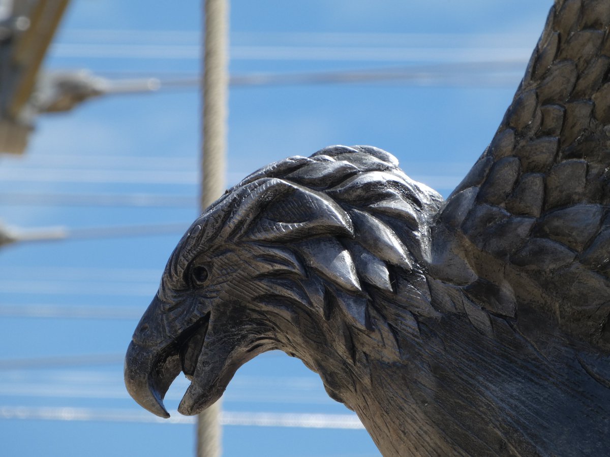 cajamaisPDF's tweet photo. "Vous êtes sous la protections des aigles noirs"

Une arène, un décor grandiose, venez voir le signe du triomphe seulement au Puy du Fou

Rejoignez-nous sur le discord de "C'est à jamais" (Lien en bio 😉)

📸 @thibaut1206_ (Instagram)

#parc #puydufou #vendée #lesignedutriomphe https://t.co/a4f7pxWPD3