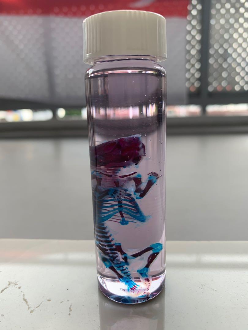 animalsamples's tweet photo. the blue cartilage and red bones, you can see their different like chalk and cheese 
#diaphonized #dark #creepy #deadthing https://t.co/YEyPwlBzQX