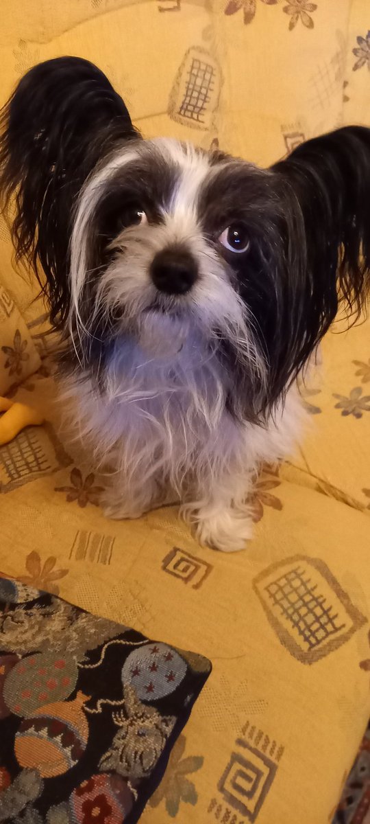 VDanheim's tweet image. #SoftaOfta #TourdeSki #Stockholm ✌️💞😇🇸🇪🇪🇺🇺🇦🎶🏴‍☠️🌏💛❤️💙 #fika