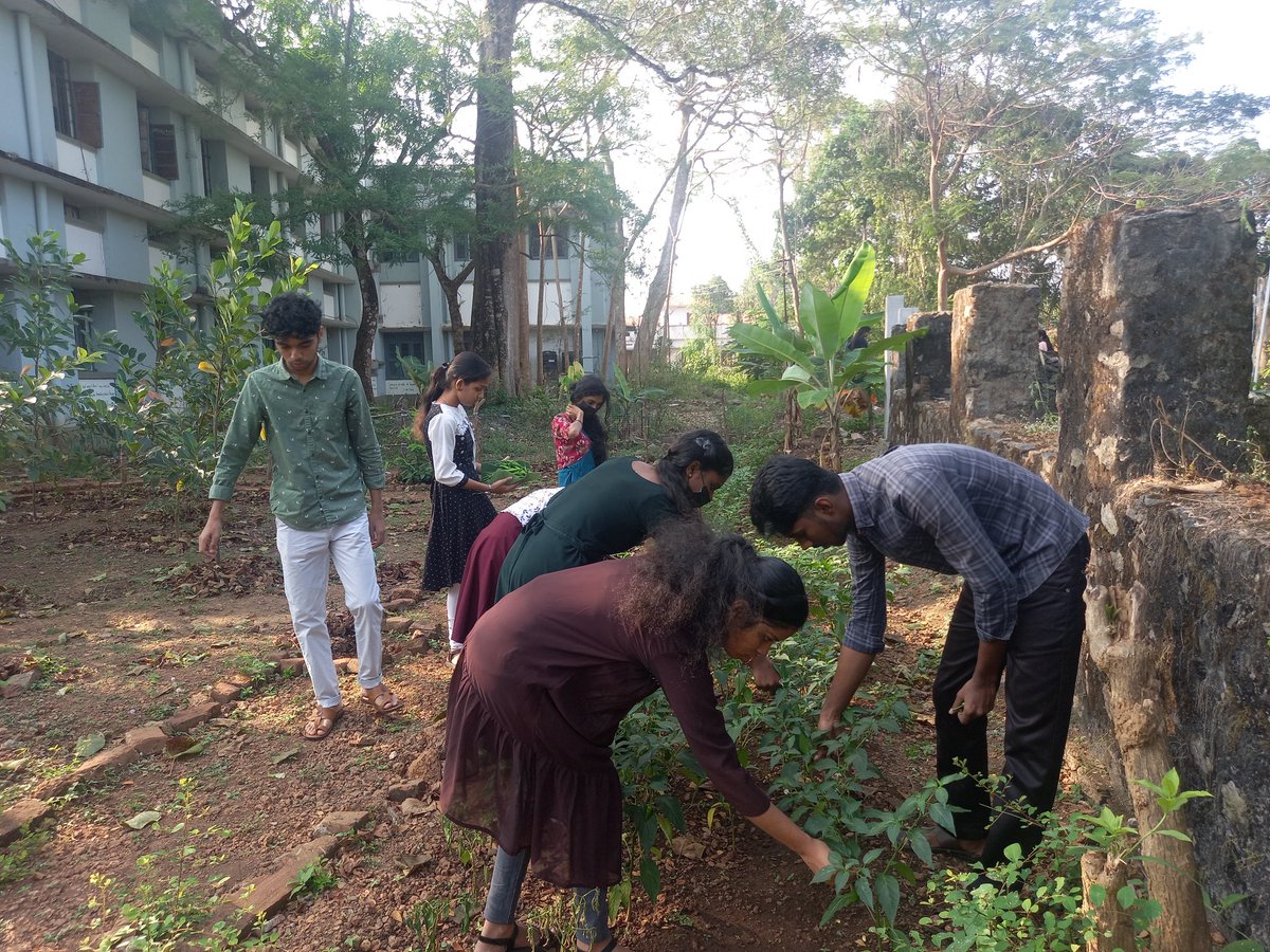 nssskcgvr's tweet photo. #OrgaVrudhi is a Organic Farming Flagship programme of @nssskcgvr, harvested Green Chillies @_NSSIndia @nsstvm @HimachalNss @nssrdhyderbad @NssrdB @NSSChennai @nss_rdguwahati @NssrdD @NSSRDPATNA @NSSRDChandigarh @NSSRDLucknow @rd_nss @nssrdbangalore @nsskashmir @NSSRDBhopal https://t.co/47dEY9oZhk
