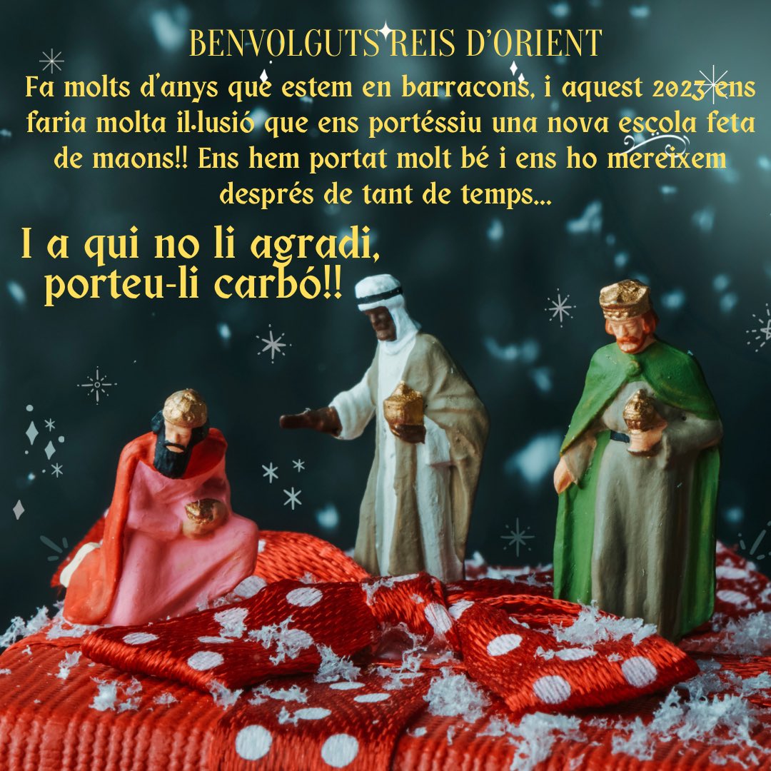 AFA Carme Guasch tweet media