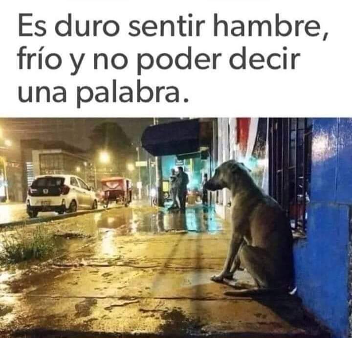 Sabueson's tweet photo. Imagina que seas tu el que está ahi,
Verias el mundo diferente y entonces si ayudarías https://t.co/yahXqhqZ5b
