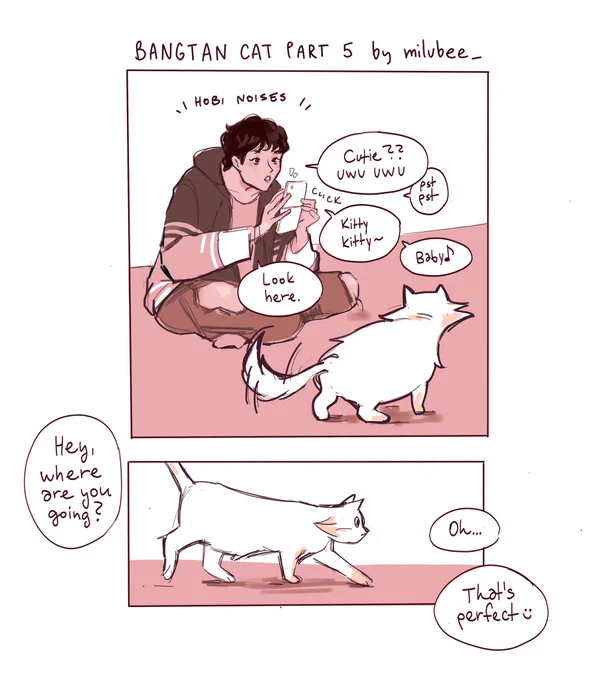 bangtan cat 5/? 
official catstagram
#sopefanart 