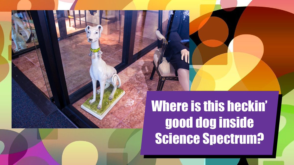 sciencespectrum tweet picture