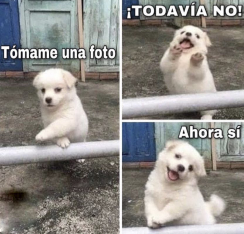 Cuando le pido a alguien que me tome una foto.