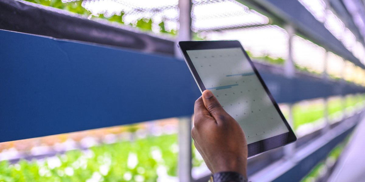 growingwithe3's tweet image. Commercial indoor cultivation automation and how it can improve your grow.
Learn More:👉 bit.ly/3vzYObQ #indoorgrow #hvac #cultivation