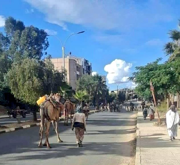Haphtom's tweet photo. #Eritrea/n forces are not leaving Tigray at all. Eritrean forces are only swapping places inside #Tigray.

We've confirmed their presence inside Tigray. These pictures are taken today, in Tigray.

#EritreaOutOfTigray https://t.co/EUmzxVXJED