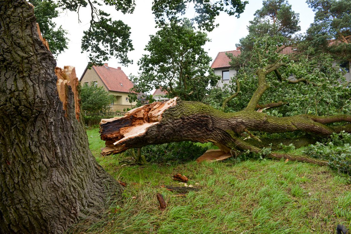 SCCgov's tweet photo. Today’s storm is expected to bring heavy rains, flooding and high winds. This could lead to falling trees and downed power lines. Make sure you have a plan in case you lose power. Get preparedness and safety tips from @PGE4Me at https://t.co/dAGNnjM23v. https://t.co/jbG2FjAqtB