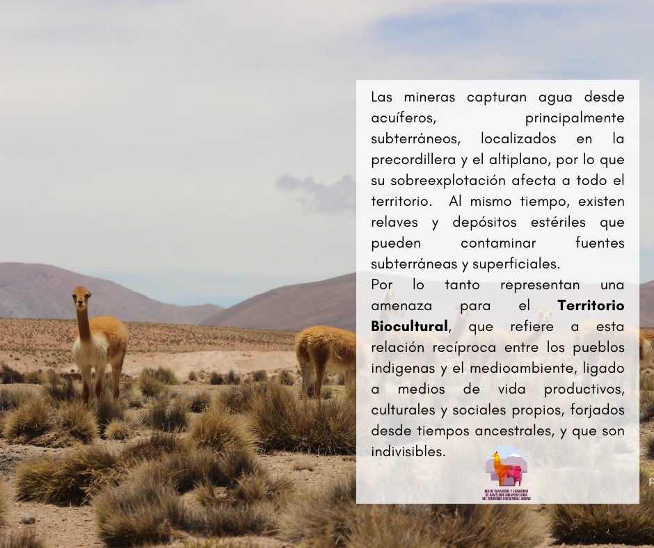 Red Ganaderos tweet media
