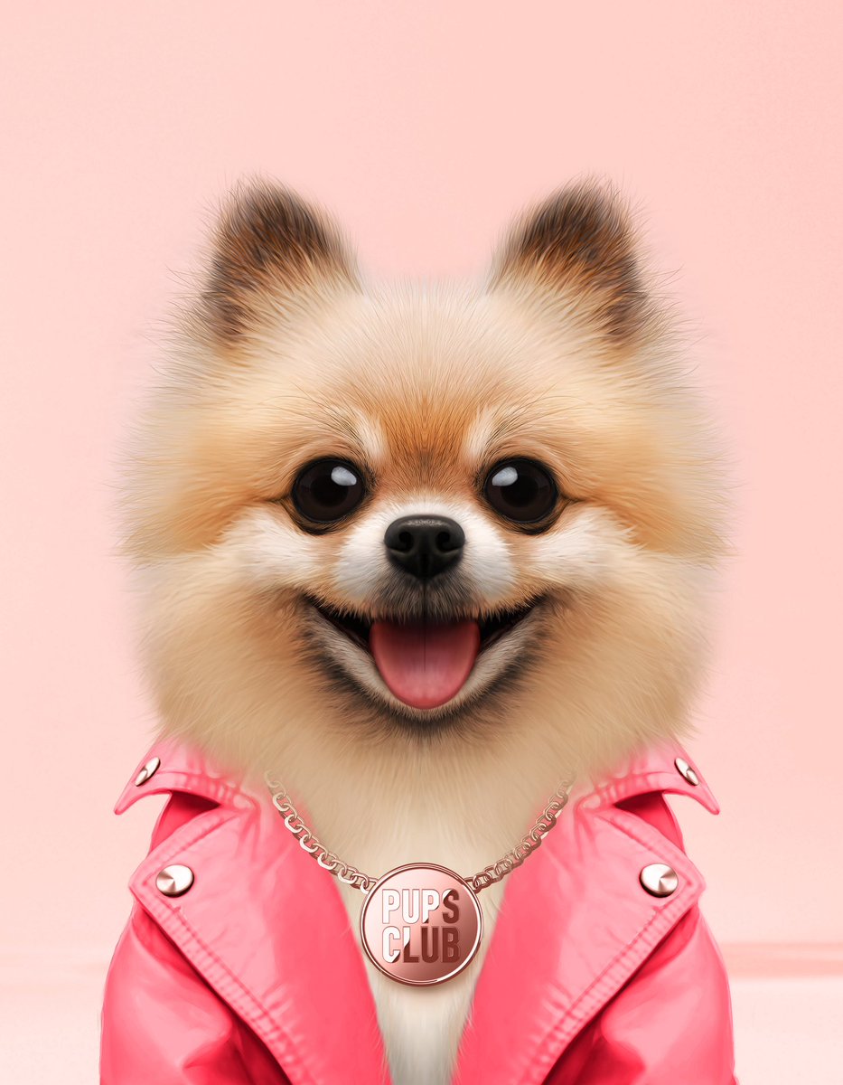 pupsclub's tweet photo. GM🐶🐾👋🏻👋🏻 https://t.co/BXzx0lM8rn