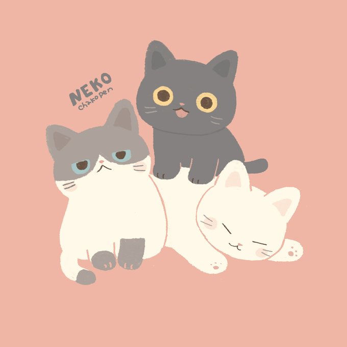 「neko」のTwitter画像/イラスト(新着))