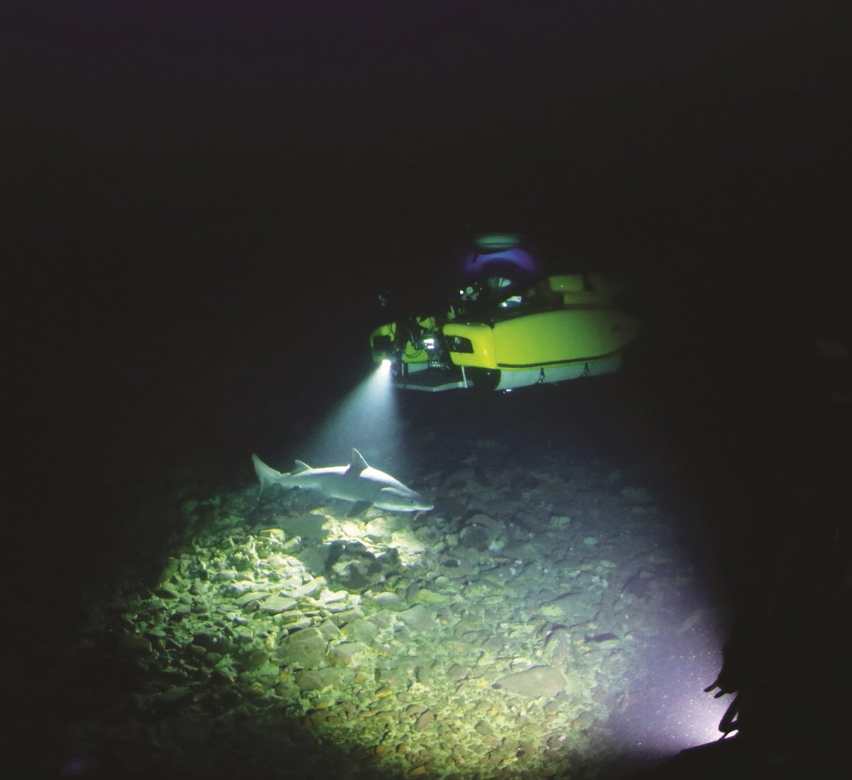 EYOS Expeditions tweet media