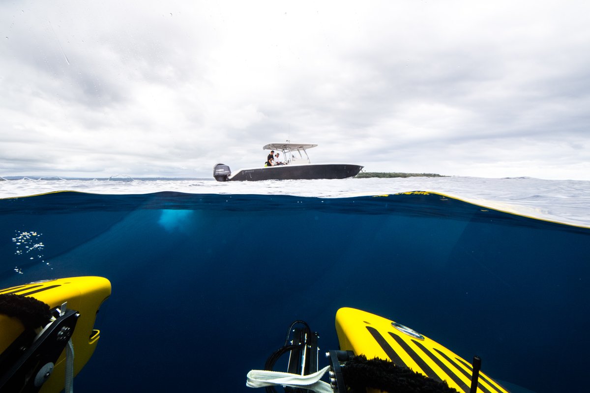 EYOS Expeditions tweet media