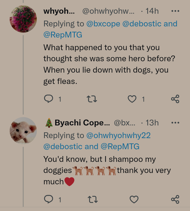 🎄Byachi Cope↙️👋 tweet media