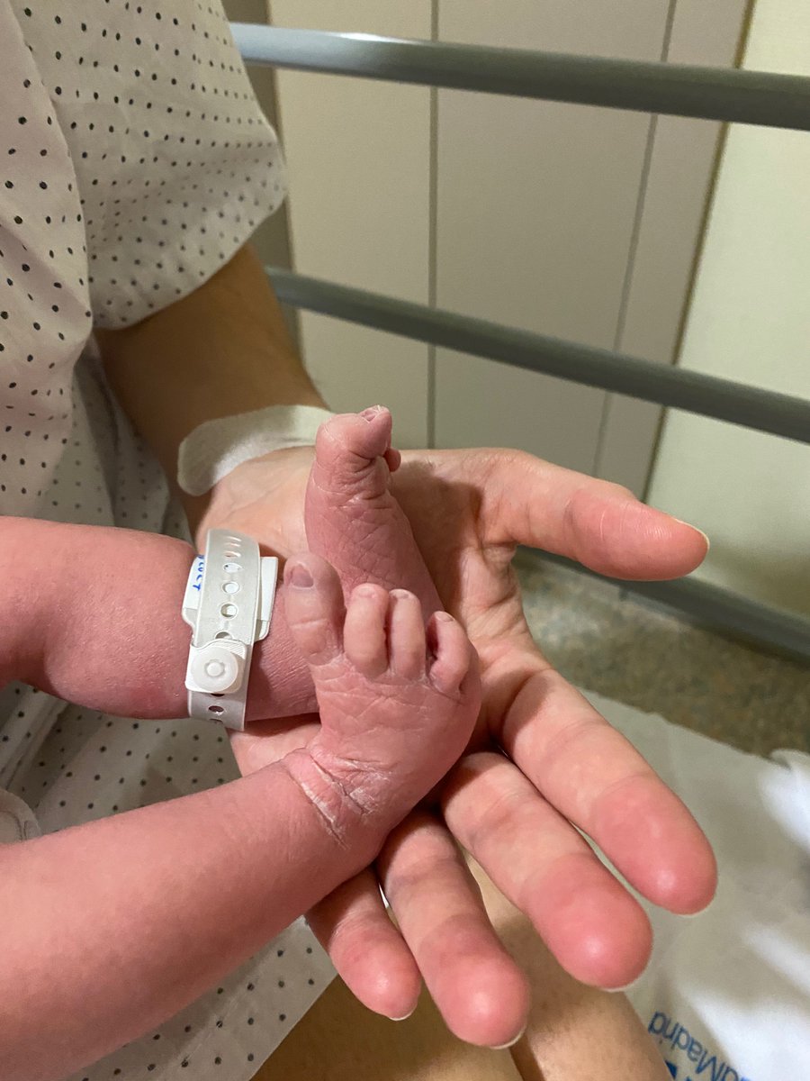 Laura Lacarra 👩🏻‍💻 tweet media