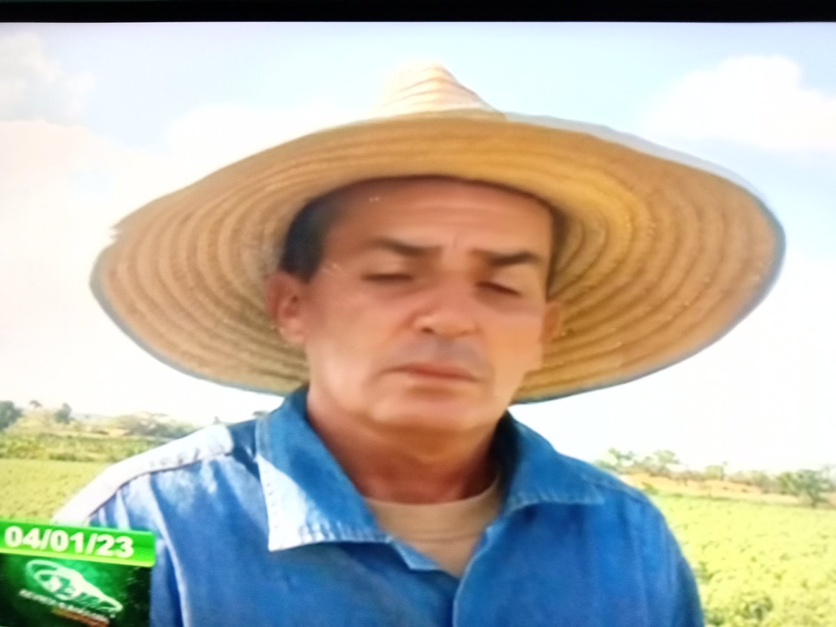 En la finca el progreso en el centro del país se trabaja intensamente en la producción de alimentos, #CubaPorLaVida, ##JuntarYVencer