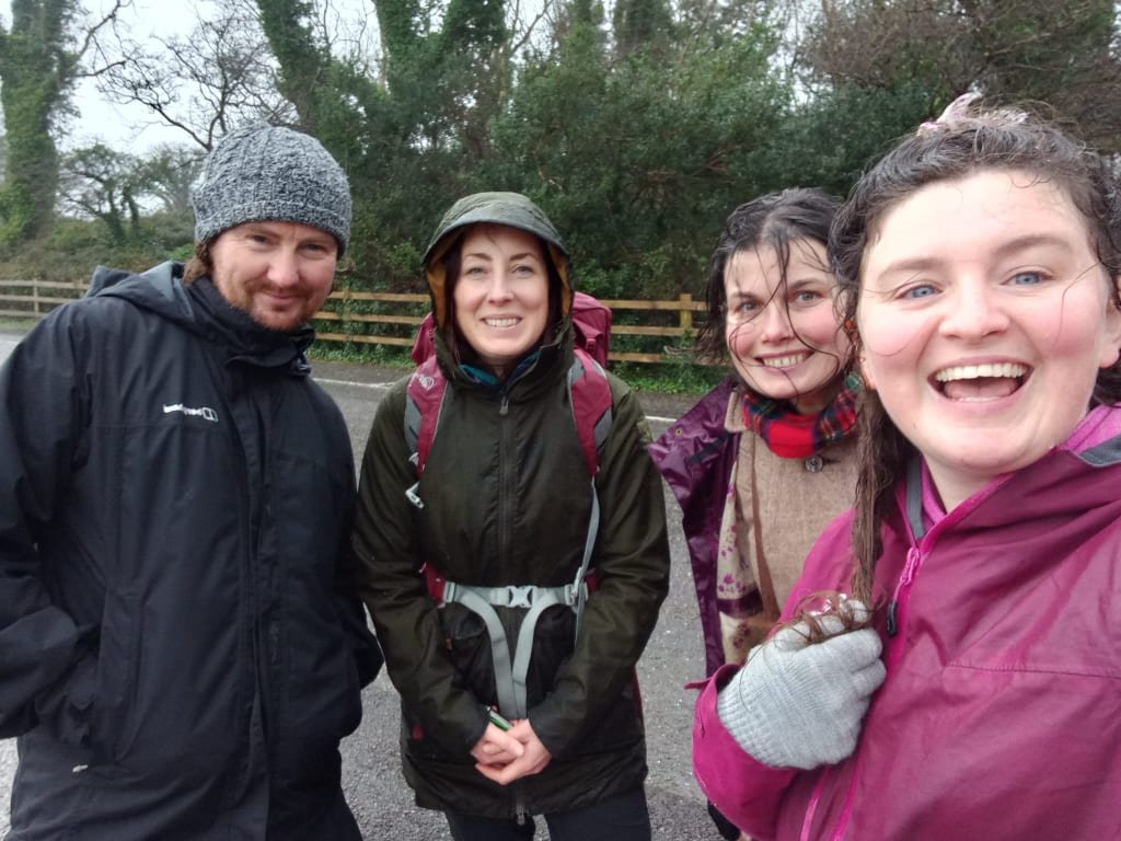 🌼Yesterday's #BSBIKerry hunt at Ballyseedy Woods was a wet and windy one, a sharp contrast to the calm conditions we had in #Killarney on Sunday
As seems the trend for this year's #NewYearPlantHunt fewer species were recorded in flower with 5 this year compared to 10 in 2022🌧️☂️