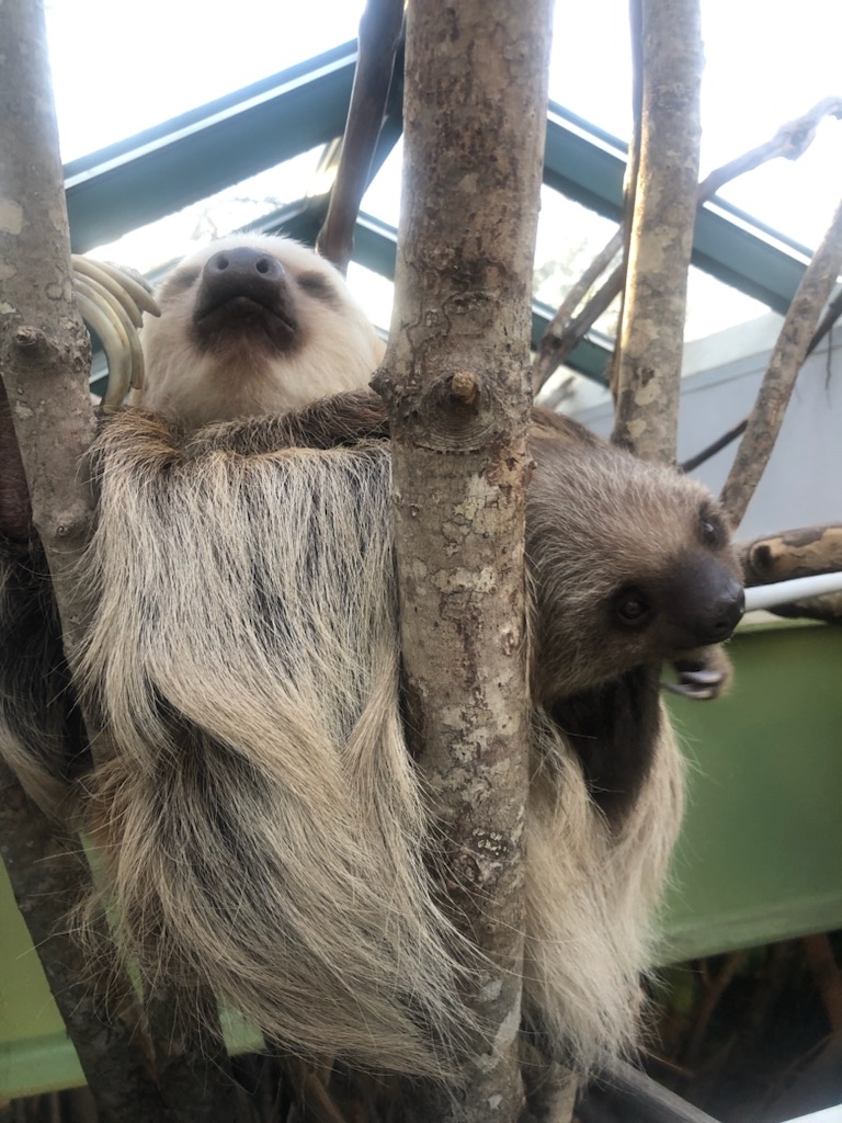 Buttonwood Park Zoo tweet media