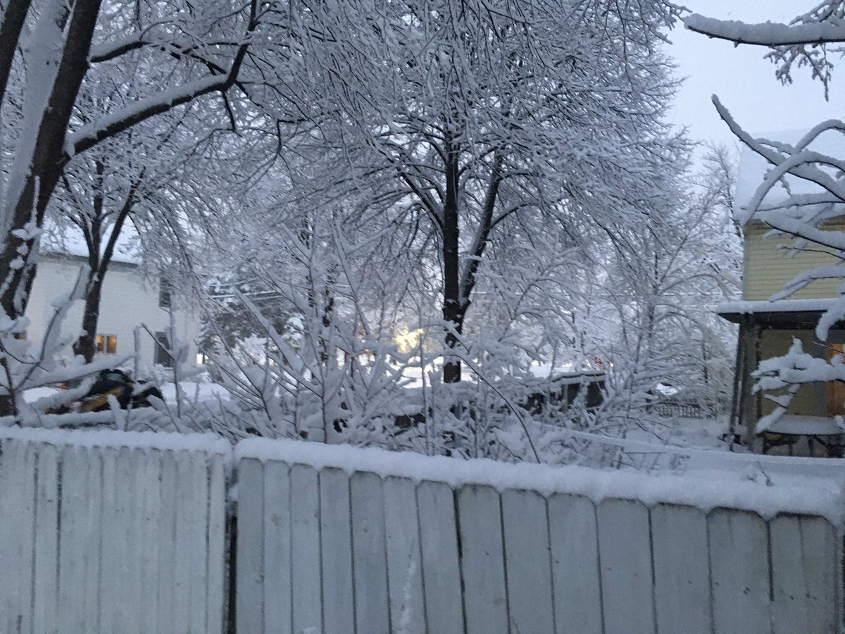 Don’t drive in Minneapolis unless you absolutely need to.
It’s too beautiful to crush it all into slush so fast.
#snow #WinterWonderland #TrueNorth #HEARTofUS