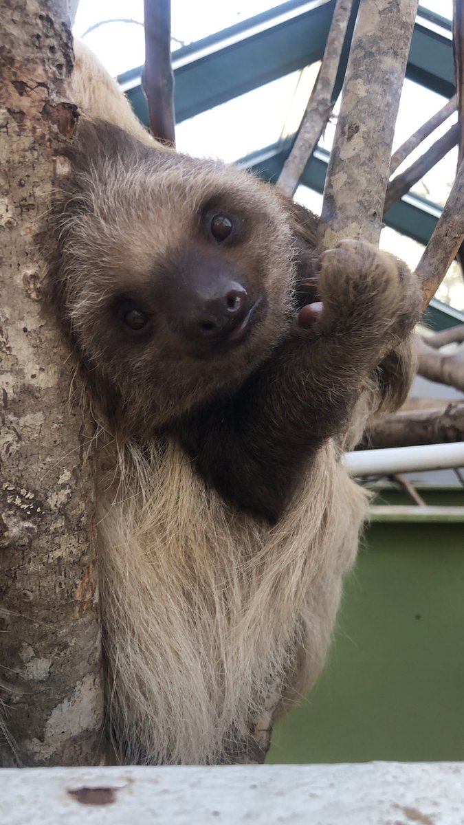 When mom tries to sleep in, but the baby is ready to go.