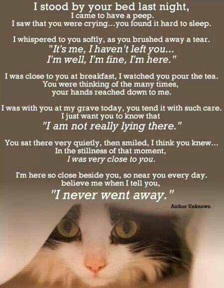 ☆☆#HealingPurrsPawty☆☆

Me NEVA went away!! 💖💖💖
.