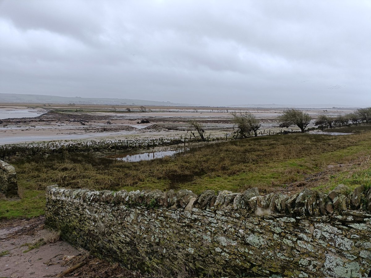 tucosluman's tweet image. 20 mile bike ride today,I hit 15 PBs aswell but the wind was with me #weightlossjourney #weightloss #exerciseforweightloss #crowpoint #northdevon #tarkatrail #t2diabetic