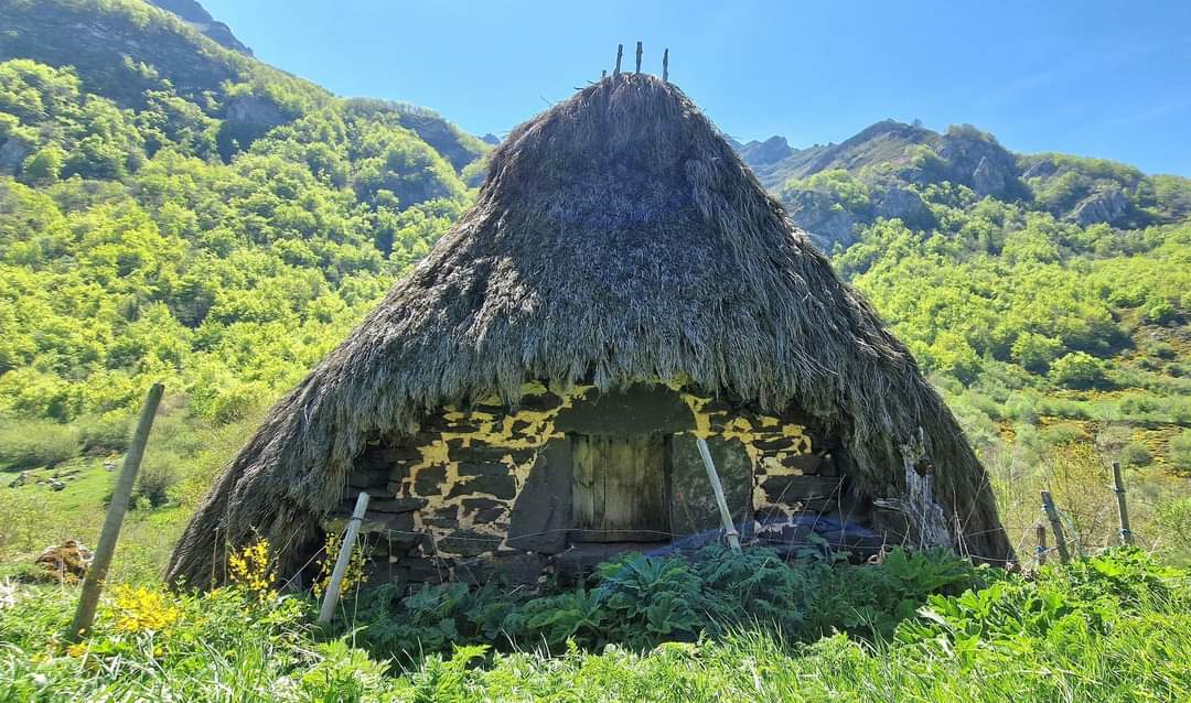 OficialSomiedo's tweet photo. ¡Nuestros #teitos! ¡Nuestras cabanas de teito!
La cabana de teito tiene el tejado de cubierta vegetal y las paredes de piedra, con planta cuadrada o rectangular.
Es una de las grandes singularidades de #Somiedo. https://t.co/j9VBklIQYC