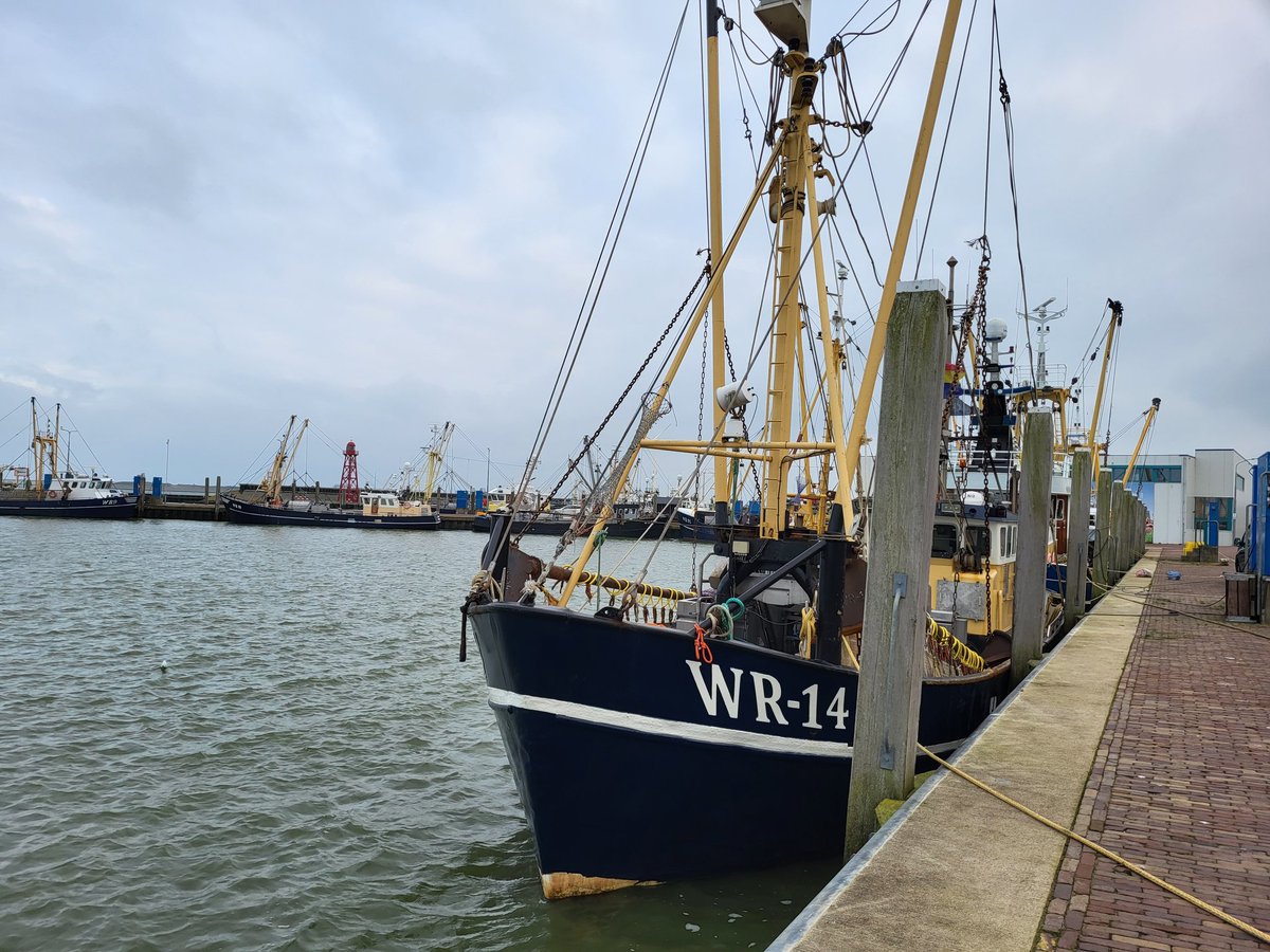 Dit is absurd. In wat voor wereld leven wij? Reclames voor gokken en vreemdgaan mogen wel maar reclames voor vis, vlees en fossiele brandstoffen mogen niet meer in bushaltes in Noord-Holland.
Hier is <a href="/CDANH/">CDA Noord-Holland</a> het dus absoluut niet mee eens! <a href="/ProvincieNH/">Noord-Holland</a>
ad.nl/noord-holland/…