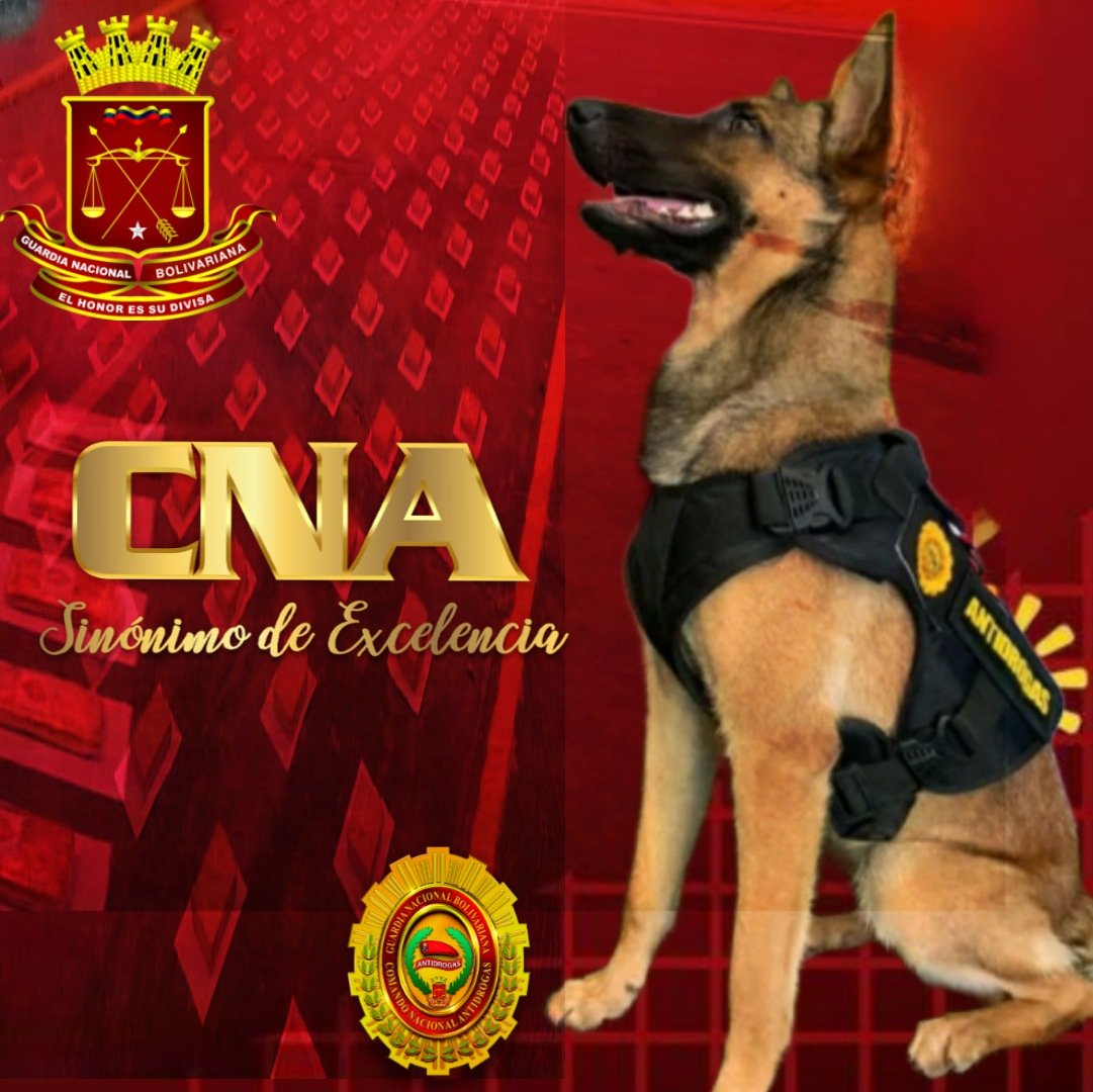 Auxiliar35Apure's tweet photo. #4Ene🇻🇪🗺️ Seguimos Trabajando Incansablemente la #FANB a través del Comando Nacional Antidrogas Seguimos Avanzando Con Firmeza.
#GNB
.@GNBCmdtGral
#BoliviaHaceJusticia https://t.co/nrp61mdXgN