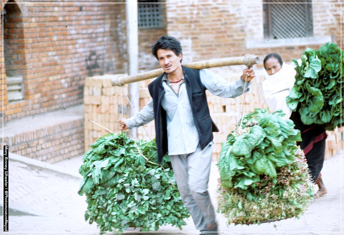 OldphotoofNEPAL's tweet image. Farmers carrying green vegetables.
Date: 1981 AD.
Location: Bhaktapur
@PMuseumNepal  #Nepal #Bhaktapur #Vegitables #market