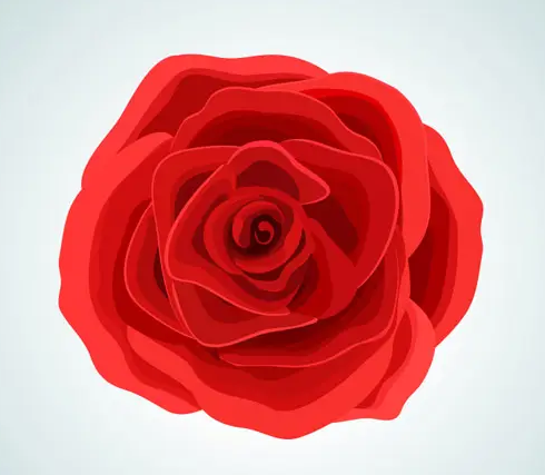 Girlshining.com tweet media