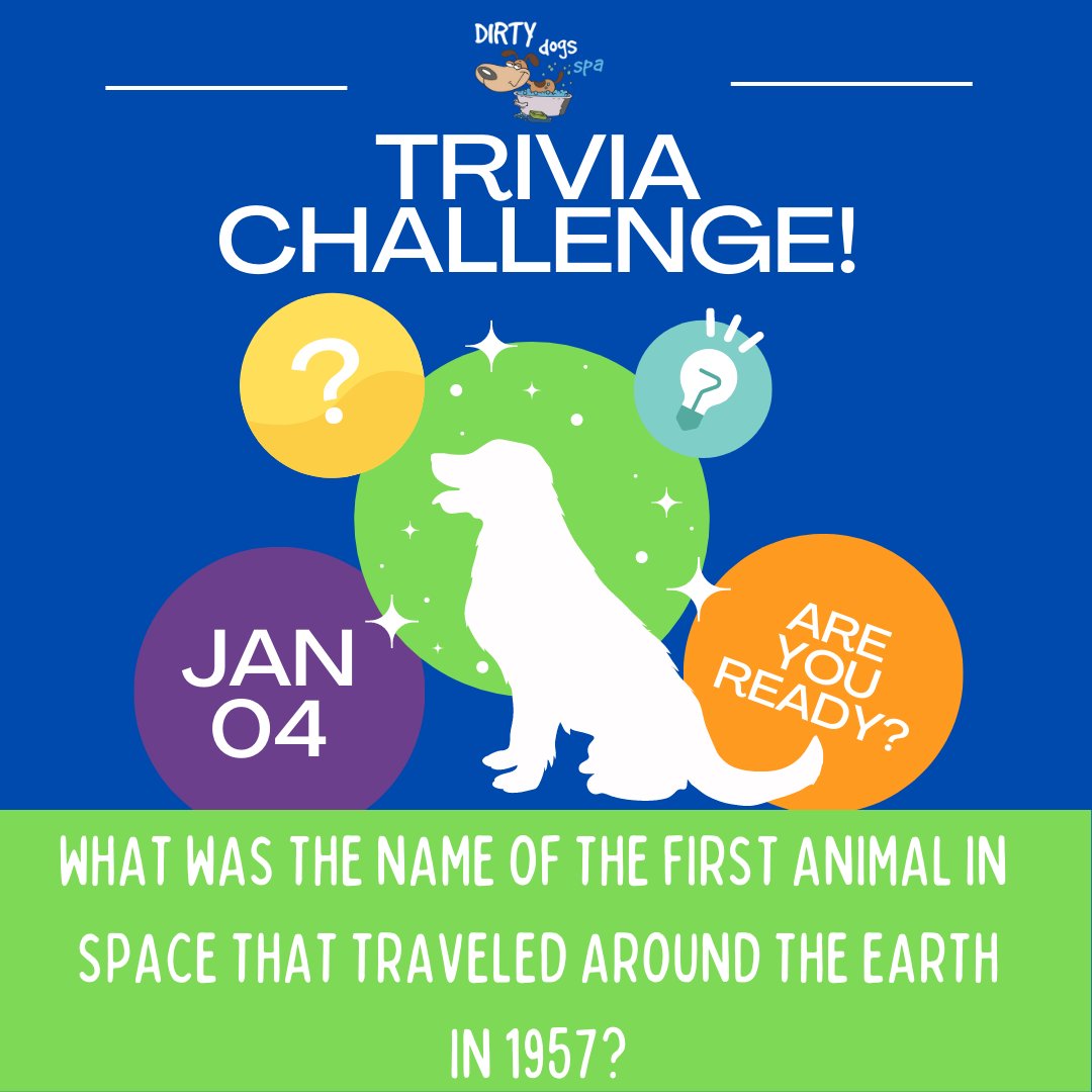 DirtyDogsSpa's tweet photo. Be the first to answer correctly to win a treat for your pup! https://t.co/cjBwP8RPbc