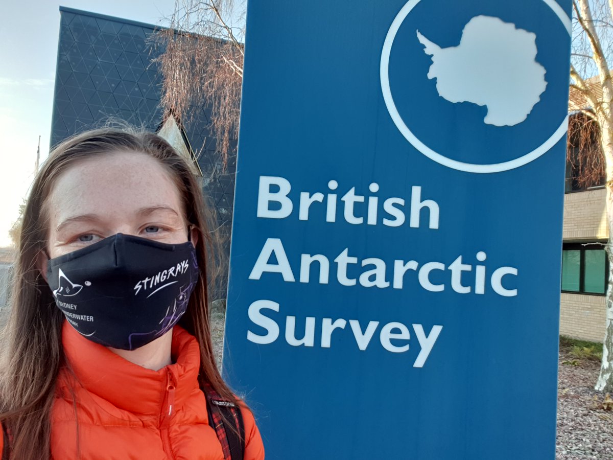 5+ years in the making! This piece really was a labour of love, begun during my PhD @UQ_CBCS & @AusAntarctic, continued @Monash_Science & finished @BAS_News!