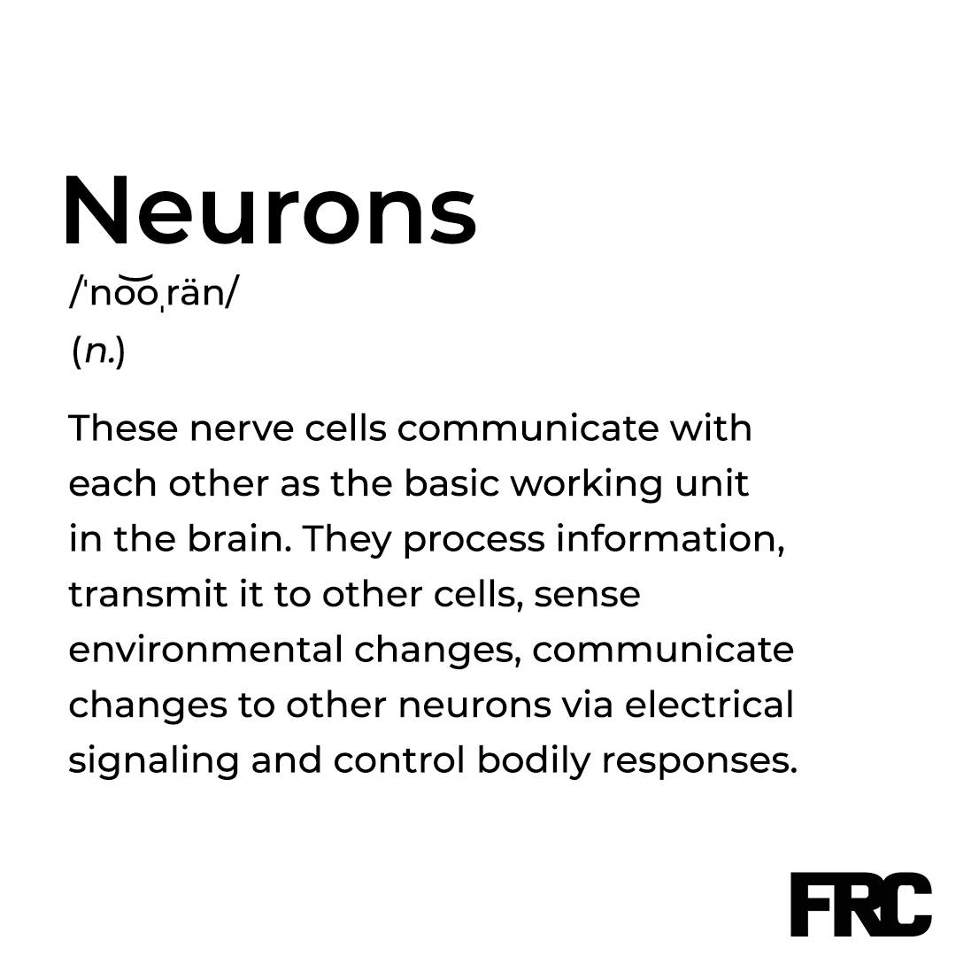 The brain is made up of billions of neurons that work together to process information, transmit signals, and sense changes in the environment 🧠 #neurons #brain #informationprocessing

What content do you want to see from us next? Comment down below!