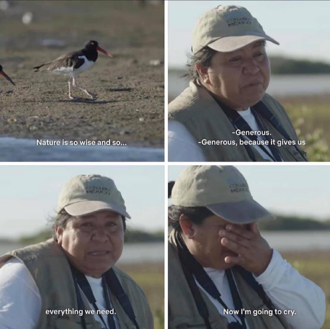 smokeyrgreens's tweet photo. Birders (2019) https://t.co/EhJIR75D2m