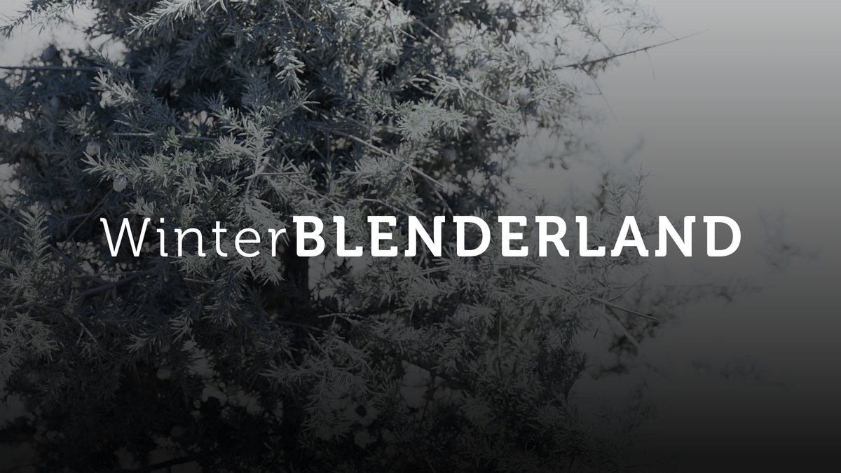 ❄️True-VFX's #WinterBlenderland ❄️competition is STARTING!!  Prizes worth over $1,600 from both our own #TrueVFX #blender #addons we create and also from our sponsor @PBRMax_Official 

⚠️Tag #WinterBlenderland for random chances to win even if you're not in the top 3! ❄️
