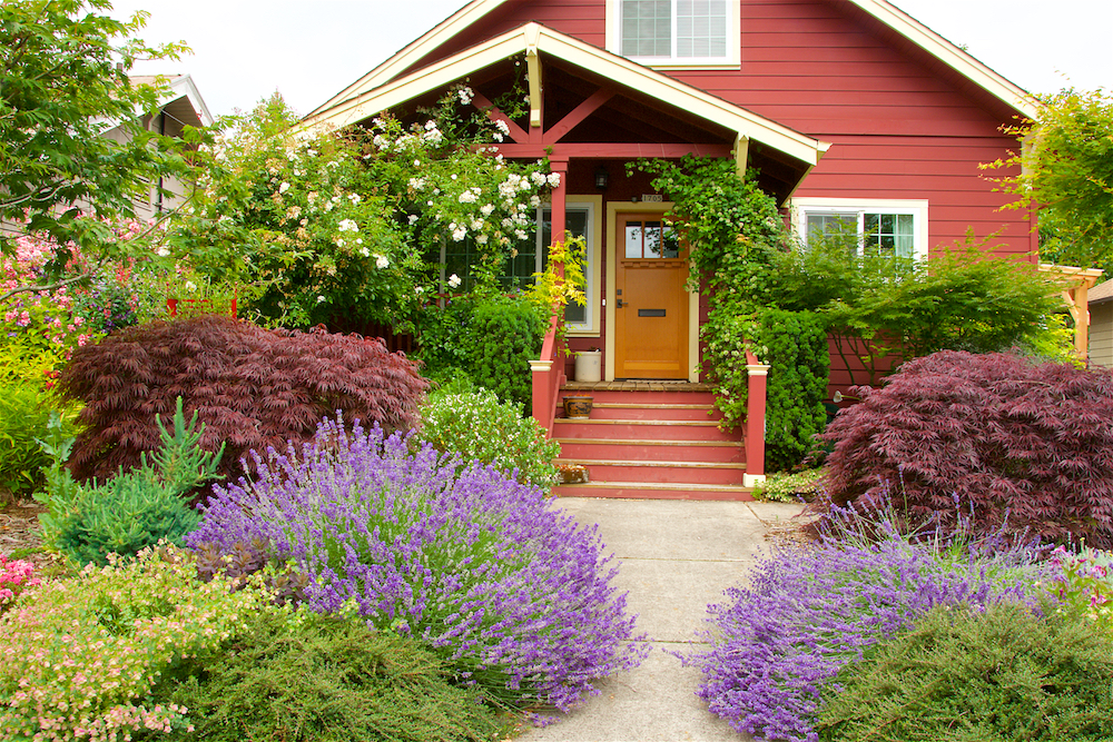 GardenDesignMag tweet picture