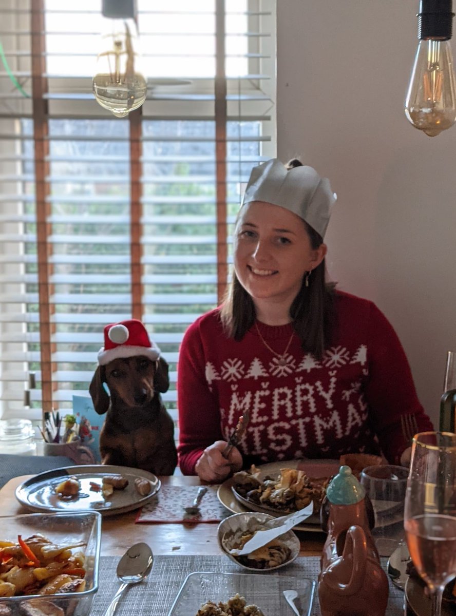 Winnie is still full from her Christmas dinner! We wish you a happy and healthy New Year.

#WinnieWednesday 

#christmasdinner #dogsatdinner #dachshud #dachshundpuppy #happynewyear #christmascracker #puppy