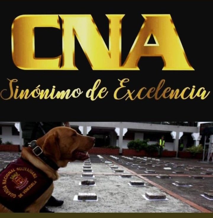 MayorPerche's tweet photo. #4Ene|🇻🇪 Somos garantía de Paz y tranquilidad a lo largo y ancho de nuestra patria. Cero tolerancia al tráfico de Drogas.

#BoliviaHaceJusticia
#FANB #GNB https://t.co/ccu1gNsELA