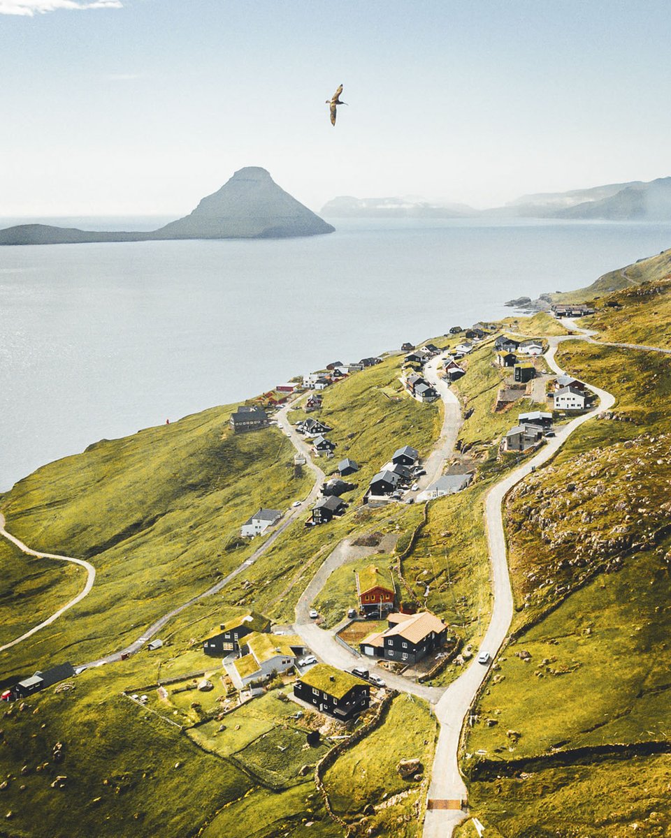 Scan Magazine tweet media