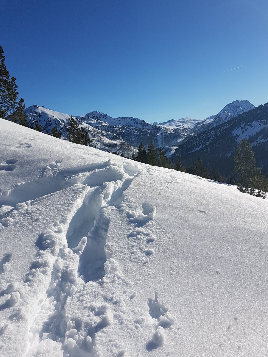 Avez-vous la chance de partir en février ? Si vous n'avez pas encore trouvé la station idéale, je vous donne quelques pistes avec 4 stations testées et approuvées dans les #Alpes : Montgenèvre, Les Deux Alpes, Vars et Les Arcs ! lafilledelencre.fr/stations-ski-a…