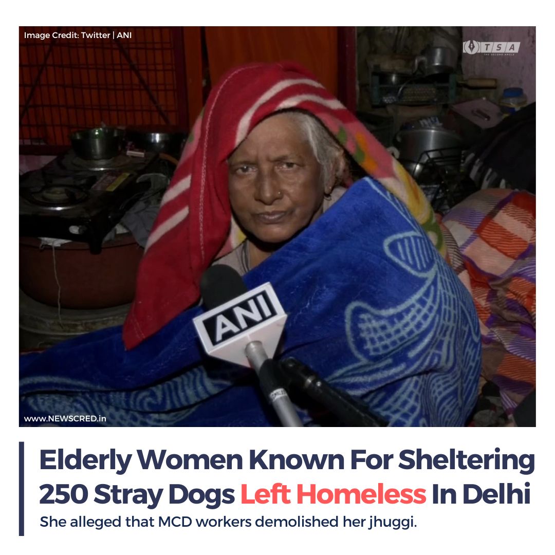 BuzzpediaNetwrk's tweet photo. #Delhi | An 80-year-old woman who looks after around 250–300 stray dogs has alleged that Municipal Corporation of Delhi (MCD) workers razed her jhuggi, shop, and makeshift shelter for the canines.

#PratimaDevi #TheSecondAngle #NewsCred https://t.co/Y941GdFW1Z