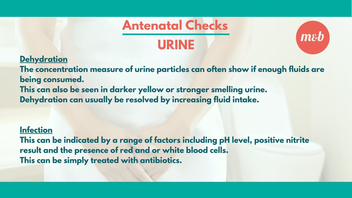What happens during your #antenatal #appointment? 
#Midstream #Urine testing is often recommended during pregnancy by your #healthcare #professional as a #tool to screen for #infection or #pregnancy related conditions. This is usually done alongside #bloodpressure #measurement